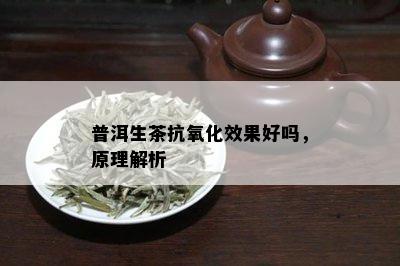 普洱生茶抗氧化效果好吗，原理解析