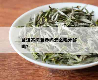 普洱茶闻着香吗怎么喝才好喝？