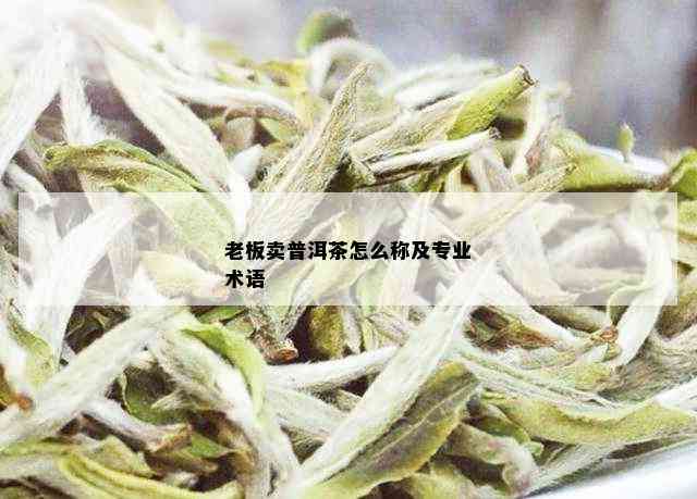 老板卖普洱茶怎么称及专业术语