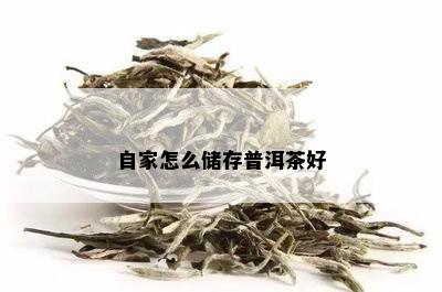 自家怎么储存普洱茶好