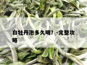 白牡丹泡多久喝？-完整攻略