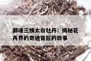 御魂三姨太白牡丹：揭秘花卉界的奇迹背后的故事