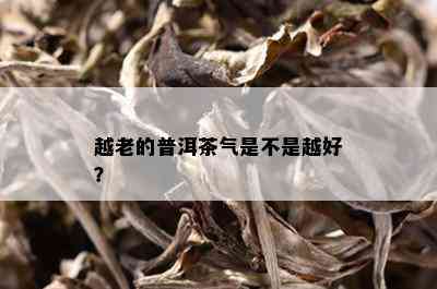 越老的普洱茶气是不是越好？