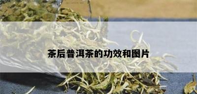 茶后普洱茶的功效和图片