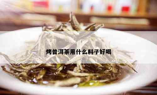 烤普洱茶用什么料子好喝