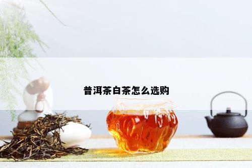 普洱茶白茶怎么选购