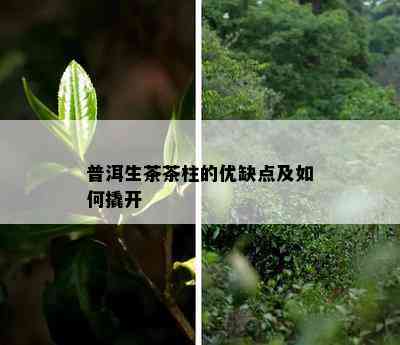 普洱生茶茶柱的优缺点及如何撬开