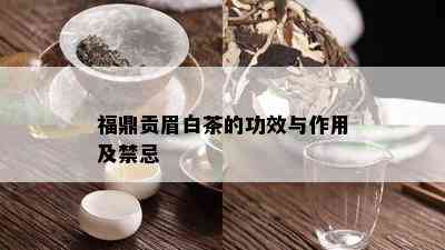 福鼎贡眉白茶的功效与作用及禁忌