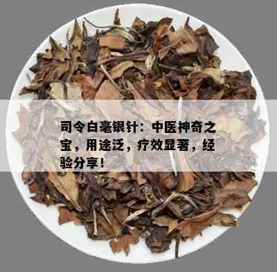 司令白毫银针：中医神奇之宝，用途泛，疗效显著，经验分享！