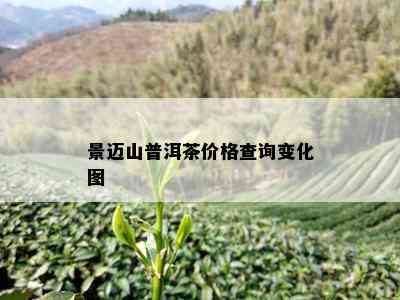 景迈山普洱茶价格查询变化图