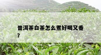 普洱茶白茶怎么煮好喝又香？