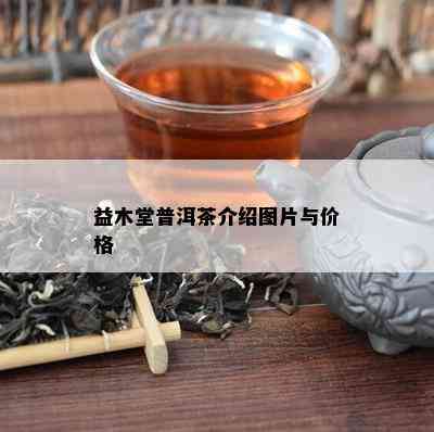 益木堂普洱茶介绍图片与价格