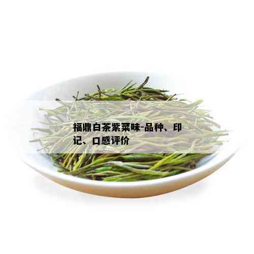 福鼎白茶紫菜味-品种、印记、口感评价