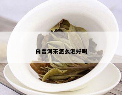 白普洱茶怎么泡好喝