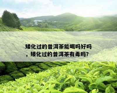 矮化过的普洱茶能喝吗好吗，矮化过的普洱茶有吗？