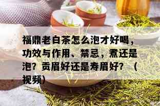 福鼎老白茶怎么泡才好喝，功效与作用、禁忌，煮还是泡？贡眉好还是寿眉好？（视频）