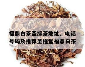 福鼎白茶圣缘茶地址、电话号码及推荐圣槿堂福鼎白茶