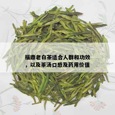 福鼎老白茶适合人群和功效，以及茶汤口感及用价值