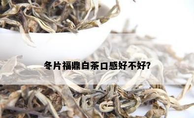 冬片福鼎白茶口感好不好？