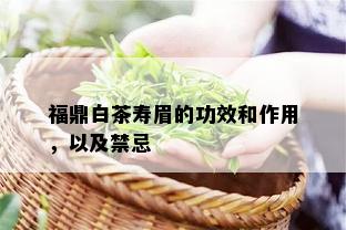 福鼎白茶寿眉的功效和作用，以及禁忌