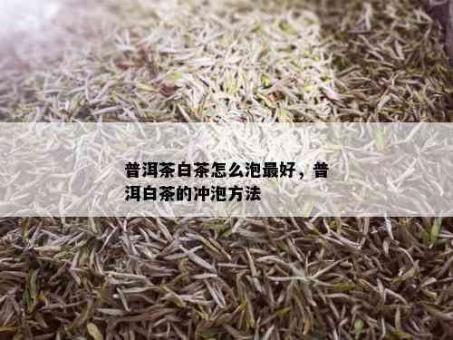 普洱茶白茶怎么泡更好，普洱白茶的冲泡方法