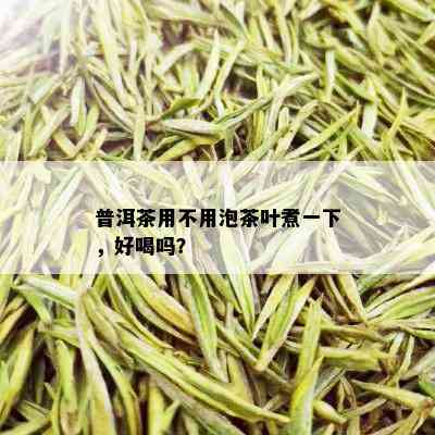 普洱茶用不用泡茶叶煮一下，好喝吗？