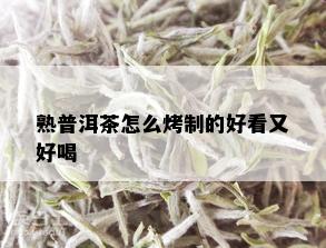 熟普洱茶怎么烤制的好看又好喝