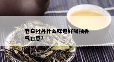 老白牡丹什么味道好喝抽香气口感？