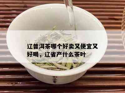 辽普洱茶哪个好卖又便宜又好喝，辽省产什么茶叶