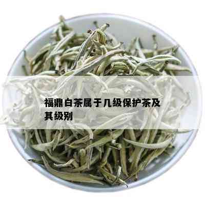 福鼎白茶属于几级保护茶及其级别