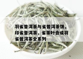 羽雀普洱茶与雀普洱茶饼，印雀普洱茶，雀茶叶合成羽雀普洱茶全系列