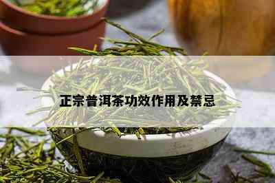 正宗普洱茶功效作用及禁忌