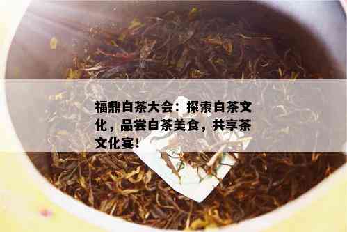 福鼎白茶大会：探索白茶文化，品尝白茶美食，共享茶文化宴！