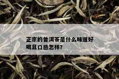 正宗的普洱茶是什么味道好喝且口感怎样？