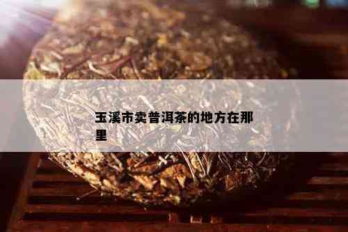 玉溪市卖普洱茶的地方在那里