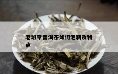 老班章普洱茶如何泡制及特点