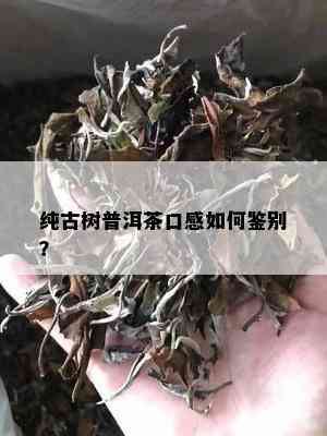 纯古树普洱茶口感如何鉴别？