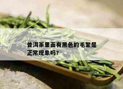 普洱茶里面有黑色的毛絮是正常现象吗？