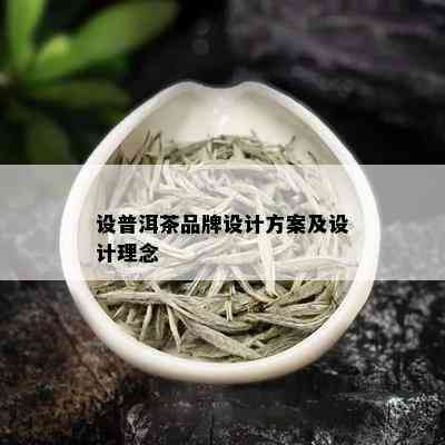 设普洱茶品牌设计方案及设计理念