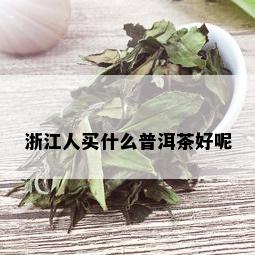 浙江人买什么普洱茶好呢