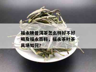 福永牌普洱茶怎么样好不好喝及福永百科，福永茶叶茶具场如何？