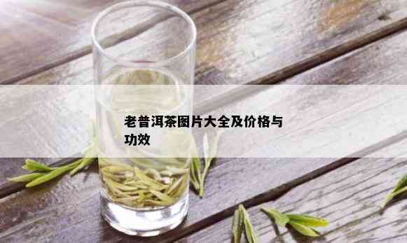 老普洱茶图片大全及价格与功效