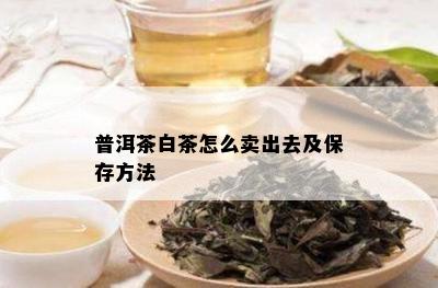 普洱茶白茶怎么卖出去及保存方法