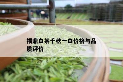 福鼎白茶千秋一白价格与品质评价