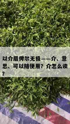 以介眉俾尔无极——介、意思、可以随便用？介怎么读？