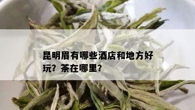 昆明眉有哪些店和地方好玩？茶在哪里？