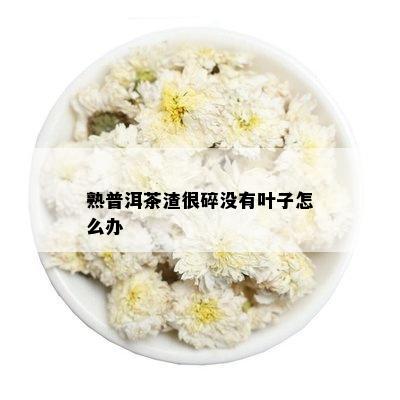 熟普洱茶渣很碎没有叶子怎么办