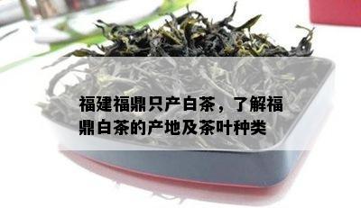 福建福鼎只产白茶，了解福鼎白茶的产地及茶叶种类