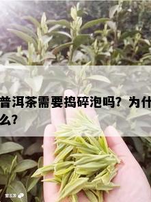 普洱茶需要捣碎泡吗？为什么？