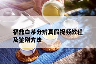 福鼎白茶分辨真假视频教程及鉴别方法